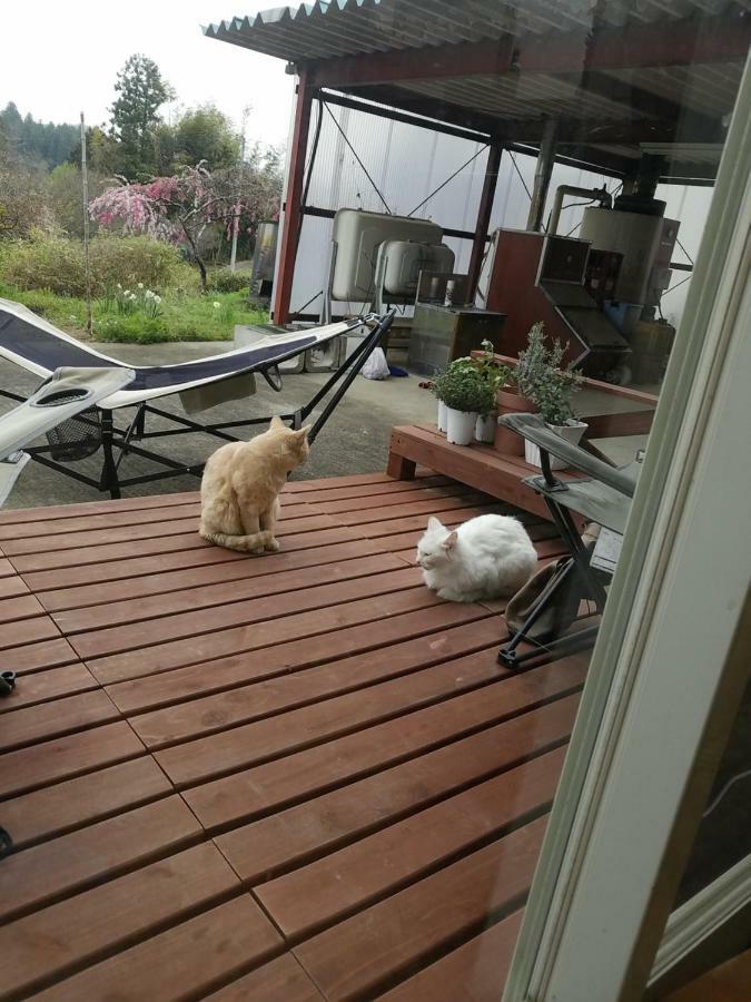 Guesthouse-Lahar Daigo Kültér fotó